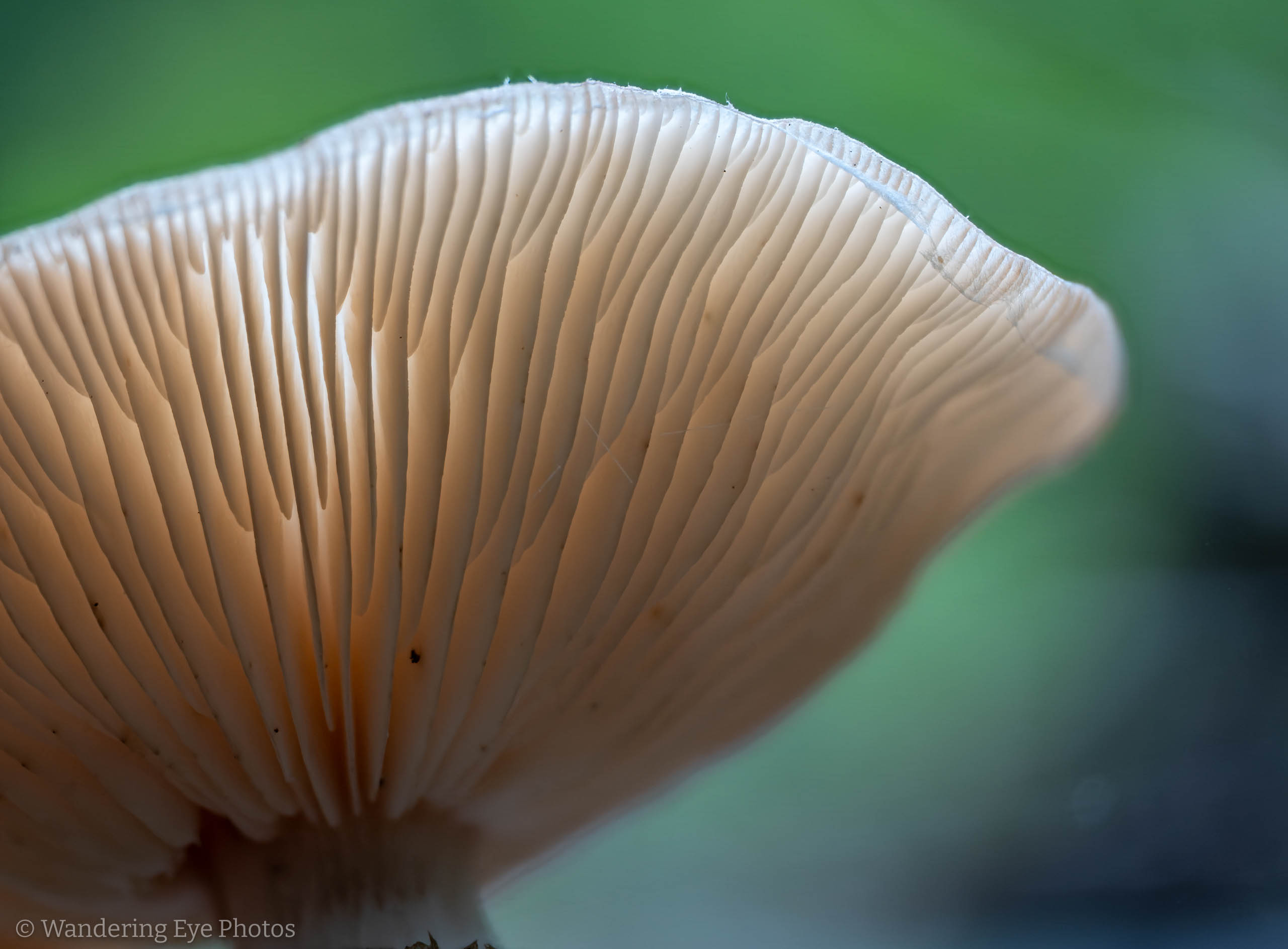 2025 10 17 17 45 23 (C,S4)